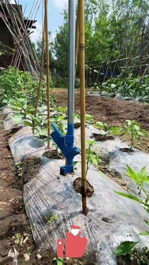 Stop Digging Holes for Your Garden! Step and Plant with This Magic Tool to Save Time & Effort 🌱🔨✨