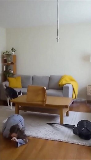 How to Repair A Ceiling Fan