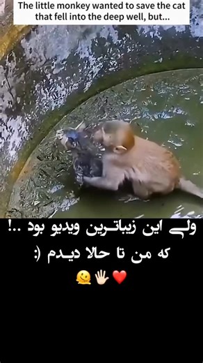 𝗦𝗜𝗟𝗘𝗡𝗧_𝟰𝗨 on Instagram: "#🇯🇵 Japan is turning footsteps into electricity! ⚡ Using piezoelectric tiles, every step you take generates a small amount of energy. Millions of steps together can power LED lights and displays in busy places like Shibuya Station. A brilliant way to create a sustainable and smart city — turning m..."