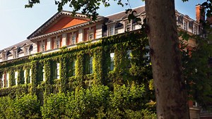 Public Health | King's College London