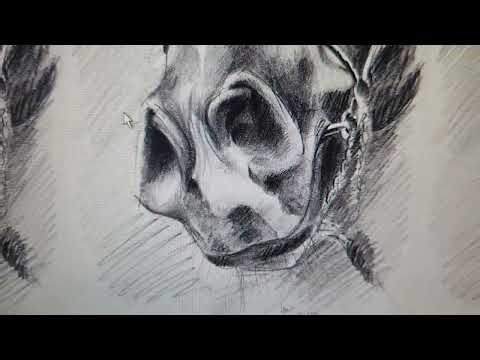 Error Found New Hardware Wizard XP