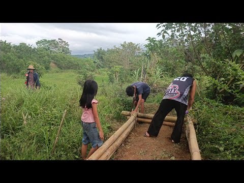 Cooking Menudo: A Taste of Filipino Heritage