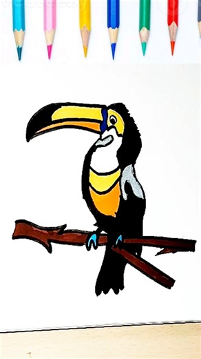 Cute Bird Toucan Drawing easy step by step #shorts #trending #art #funny #like #drawing #share