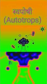 Autotrops 🌱 | Photosynthesis #ScienceShorts #Biology #FoodChain #trending #viral short