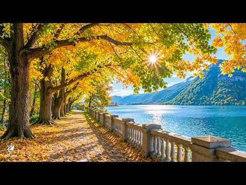 Peaceful Autumn Escape 🌿 Colorful Fall Forest, Soothing Nature Sounds & Peaceful Piano Music