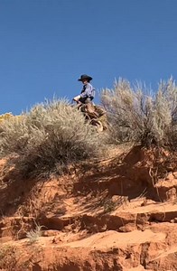 westernworks - Pony express mount (Performed by ... #horsesoftiktok #cowboy #horse #fyp | Westerworks