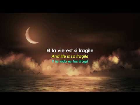 Luc De Larochellière - Si Fragile (French Song with Subtittles)