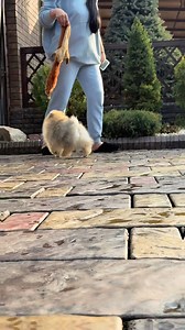 #izzolotogosunduchka | Anna Goryacheva