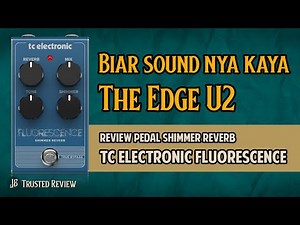 SIAPA BILANG REVERB NYA TC ELECTRONIC MAHAL? Review TC Electronic Fluoresence Shimmer Reverb