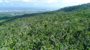 18K views · 685 reactions | It’s #StarWarsDay! Each of the planets...