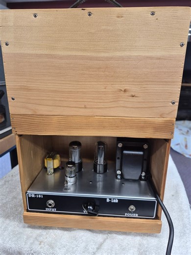 D-Lab Custom Boutique 6K6 tube guitar amplifier Point to Point wired Wine Crate Rustic!