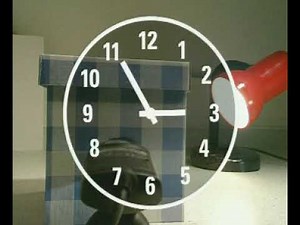 GCSE Science Revision - Phototropism