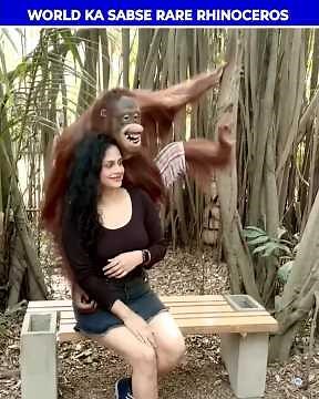 Animals That May Go Extinct by 2050? 🦁⚠️