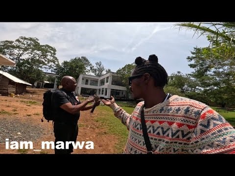 WE HAVE A NEW VISITOR FROM USA !!!