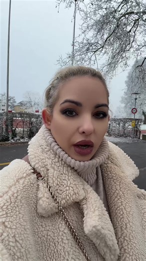 Ελβετία 🇨🇭 Επικοινωνία: 🌐www.swissupport.com Υπηρεσίες Οργανωμένης Μετανάστευσης #newlife #switzerland🇨🇭 #fyp #swissupport #ελβετια @Spiros Athanasiou