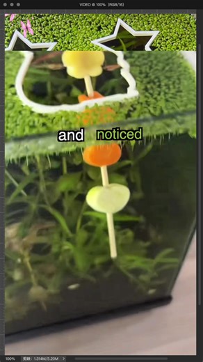 Goldfish Care: Understanding Their Waste and Plant Fertilizer Benefits