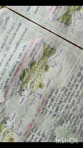 #class 9 class jigyansa adhibesana 4