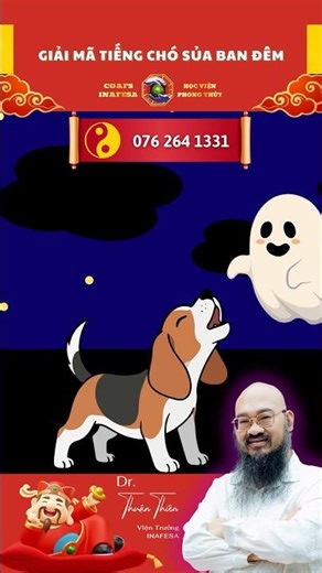 Decoding Nighttime Dog Barking: Why Do Dogs Often Bark into Empty Space?