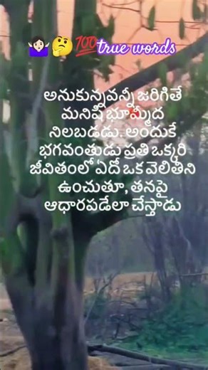 true words,travel vlog, athens greece, greece