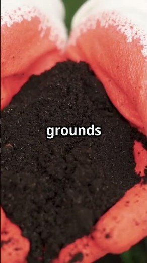The Best Soil Amendments for Improving Your Garden's pH