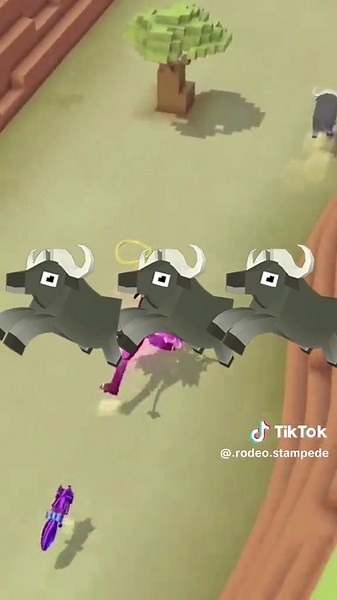 Buffalo in Rodeo Stampede Highlights
