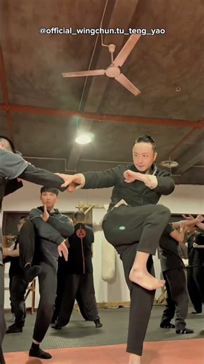 Boost Your Wing Chun Skills: Mastering the Side Kick & Xunqiao Techniques! - Master Tu Tengyao