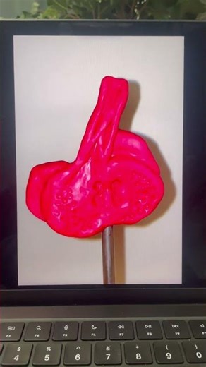 Fetal Heart Development: Day 22-28 with cross section progressions.