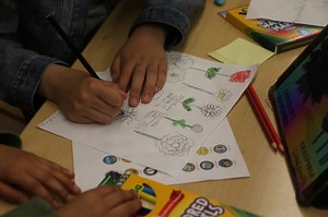 Over 282K students now have an NYC Scholarship Account: What you need to know