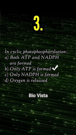 5 Important Questions on Photosynthesis in Higher Plants | Class 11 Biology | Bio Vista