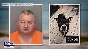 Animal cruelty trial underway