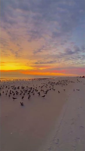 Relax & Watch the Sun Melt Into the Sea #sunset #beachsunset #peacefulvibes #relaxingvideo