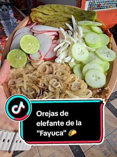 Descubre las Orejas de Elefante de la Fayuca en Puebla