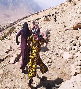 Forced migration of a nomadic family as a result of tribal #villagelife #rurallifestyle #cave #nomads #nomadiclife #reelfb #life #adventure | Nomads Queen