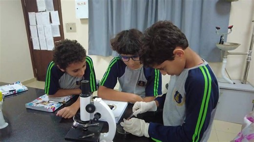 3K views · 43 reactions |  Exploring the building blocks of life!...