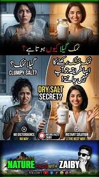 Why Does Salt Get Wet and Clumpy? 🧂 The Surprising Science!