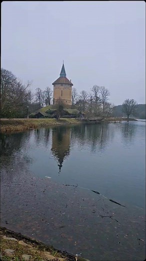 Cow Welfare Practices in Denmark: A Guide