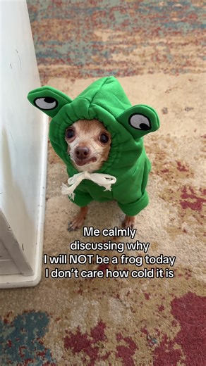 Why I'm Not Becoming a Frog Today