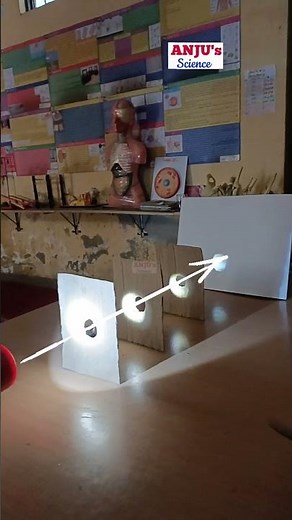 Activity: Light Travels in Straight line #shorts #anjus_science