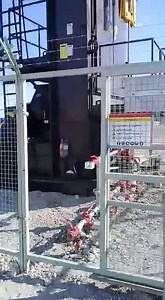 Instalación y puesta en marcha del primer Rotaflex 2.0 en Argentina. Es un Rotaflex 950 (350-360-288), ubicado en el Golfo San Jorge, Comodoro Rivadavia, Chubut. Este equipo quedó operando a un promedio de 2 SPM, con control de 3 velocidades por VSD. Lo especial de este equipo respecto a las viejas versiones del Rotaflex, es que mejora su diseño en favor de la seguridad del operador, también es mucho mas fácil ejecutar los mantenimientos y es mucho mas avanzado en su automatización. Cuenta con p