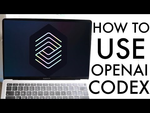 How To Use CodeX By OpenAI!