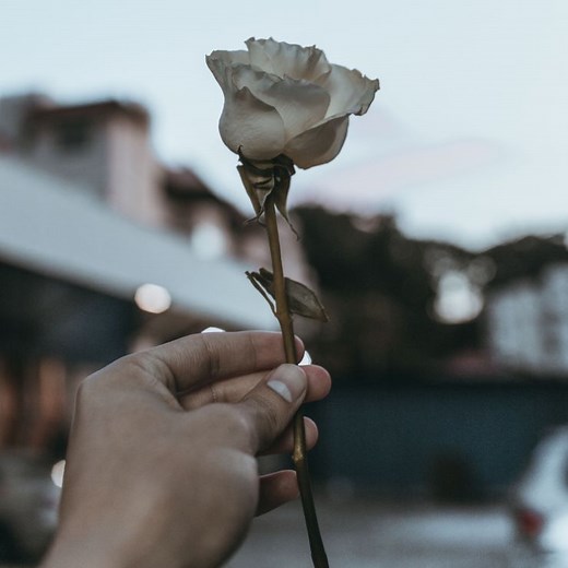 Aria guides: Voi, che sapete