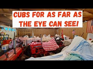 Glimpse of RARE Farmall Cub Collection- And I Bought Some Stuff Too!!