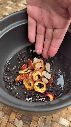 Discover the Secret of These Grape-Like Bunches: The Magical Ligustrum lucidum