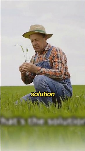 The Hidden War on Nature: How Glyphosate Is Poisoning Our Planet