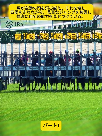 空港での馬の驚くべきジャンプパフォーマンス