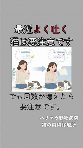 猫がよく吐くのは普通？それとも病気のサイン？