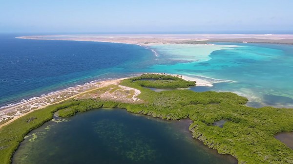 BONAIRE, Caribbean - Goto Lake, Lac Cai Beach & Donkey Sanctuary