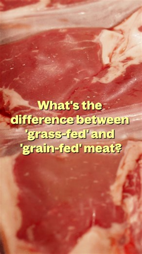 Ever wondered about the difference between grass-fed and grain-fed? 🐄 Cattle are often finished on grain to quickly add weight. But it’s not always the kindest method. They spend most of their time standing in a fenced area, just waiting to be fed, which can stress them out. Grass-fed cattle, on the other hand, are more relaxed. They move around, graze naturally, and their diet helps them develop better fat and a better finish. The result? Cleaner-tasting meat, better texture, and a difference 