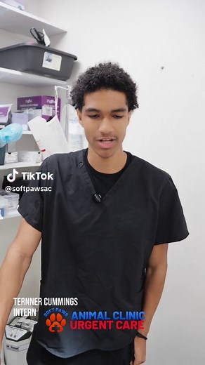 Watch as Dr. Jackson's mentee, Turner, shares his experience and journey through veterinary medicine under Dr. Jackson's mentorship. From gaining hands-on experience to learning the importance of patient care, Turner discusses how mentorship has helped shape his goals and expand his understanding of the veterinary profession. Programs like these provide aspiring veterinary professionals with valuable exposure to the field, helping them build confidence, develop practical skills, and prepare for
