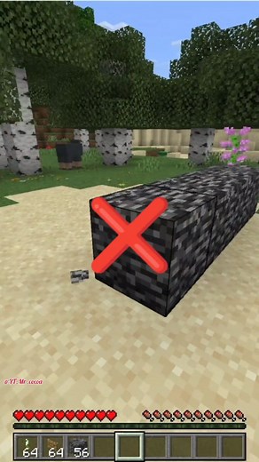 How to Break Bedrock in Minecraft Survival Mode🤯 #minecraft #minecraftmemes #minecraftbuild #minecraftpc #minecraftpe #minecraftideas #minecraftbug #meme #memes #reels | Axolotl Book